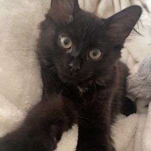 Meet your Posher, Barbara